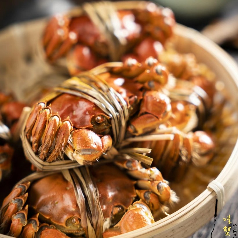 哇蟹蟹江苏鲜活大闸蟹5两公4两母八只礼盒装螃蟹鲜活螃蟹