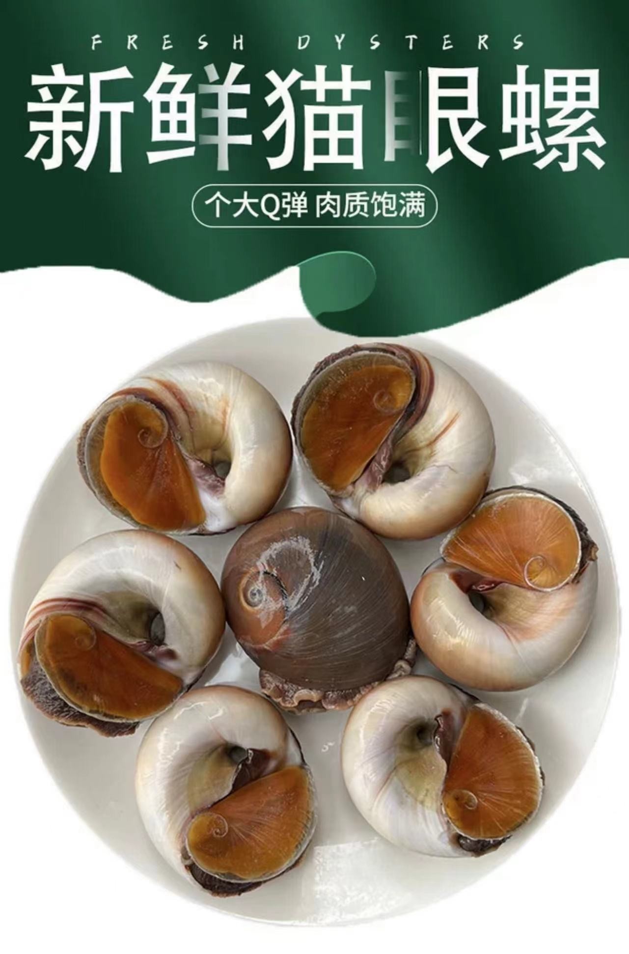 连云港 猫眼螺（海捕）每斤6~10个左右 鲜活发货，不包活介意慎拍