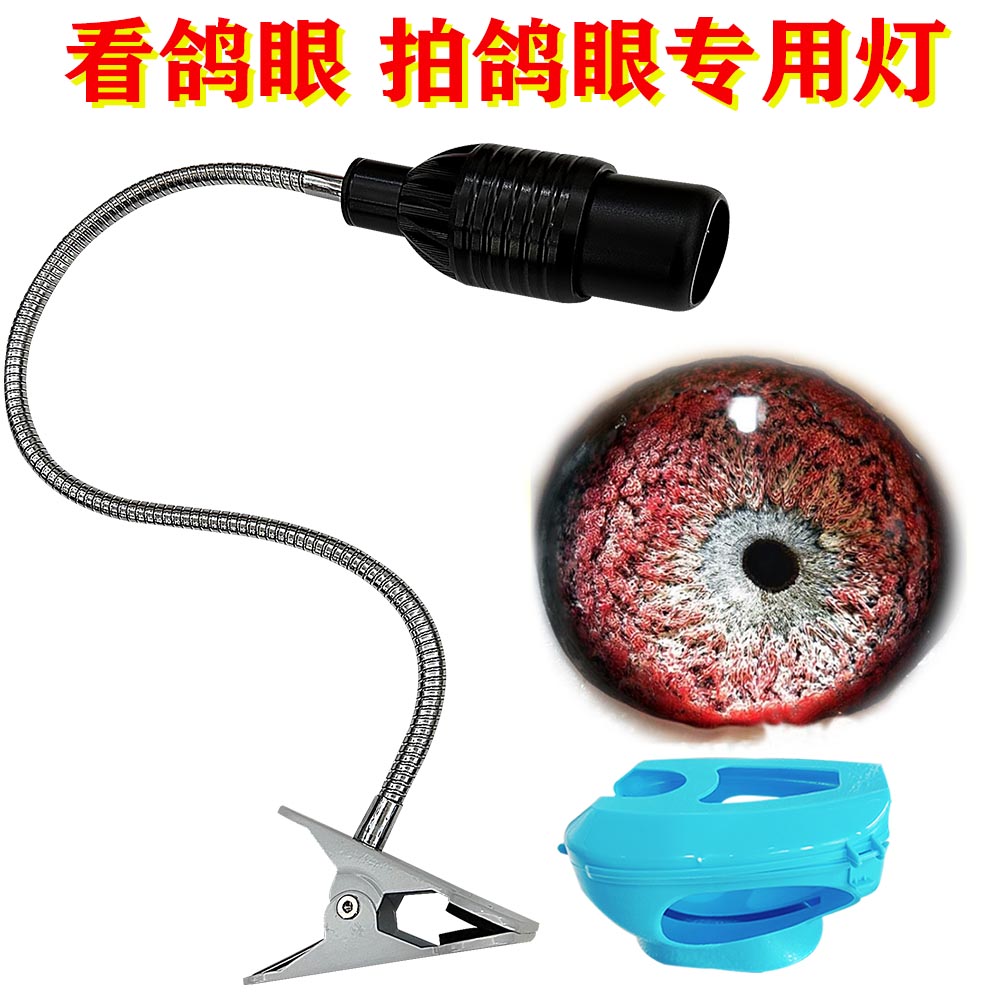 信鸽拍照射灯鸽眼拍摄神器鸽子眼砂底聚光灯看赛鸽眼砂瞳孔强光灯