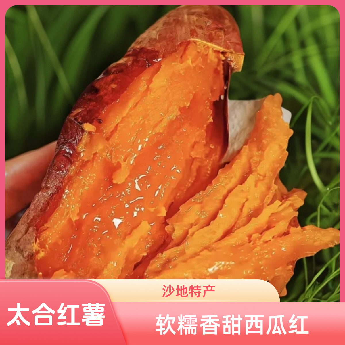 【太合自营】山东沙土地西瓜红蜜薯粉糯香甜红心糖心