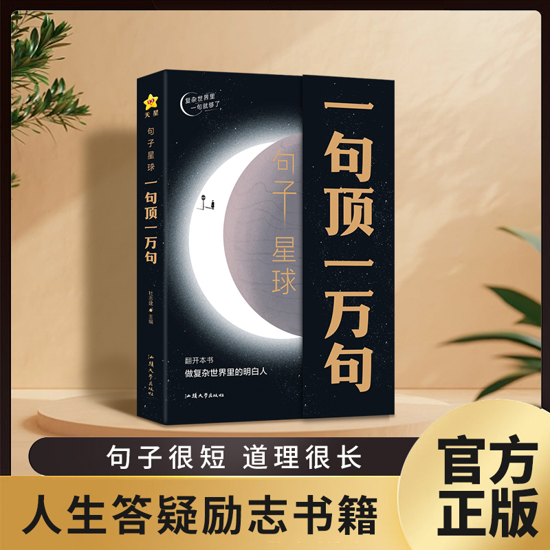 句子星球一句顶一万句正版摘抄文案语录做复杂时间里的明白励志书