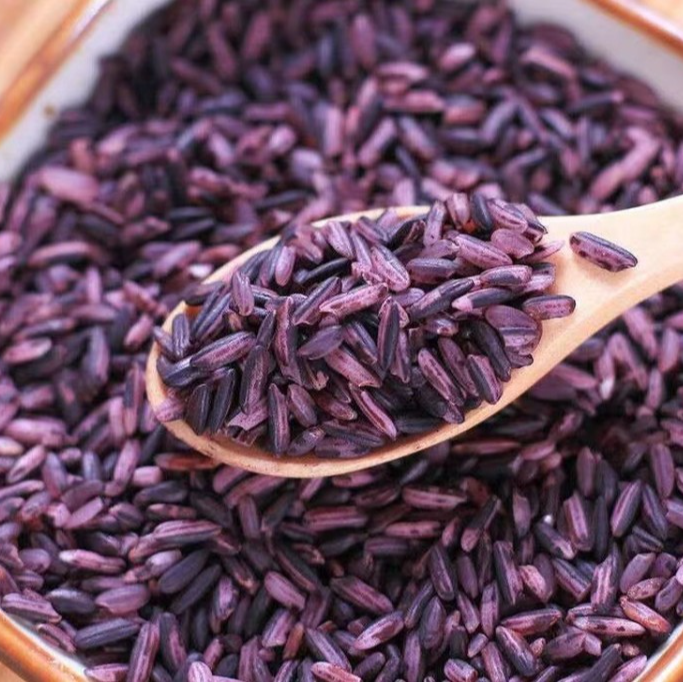 文成高山农家生态紫米血糯米  软糯香甜 低能量高纤维 五谷之首