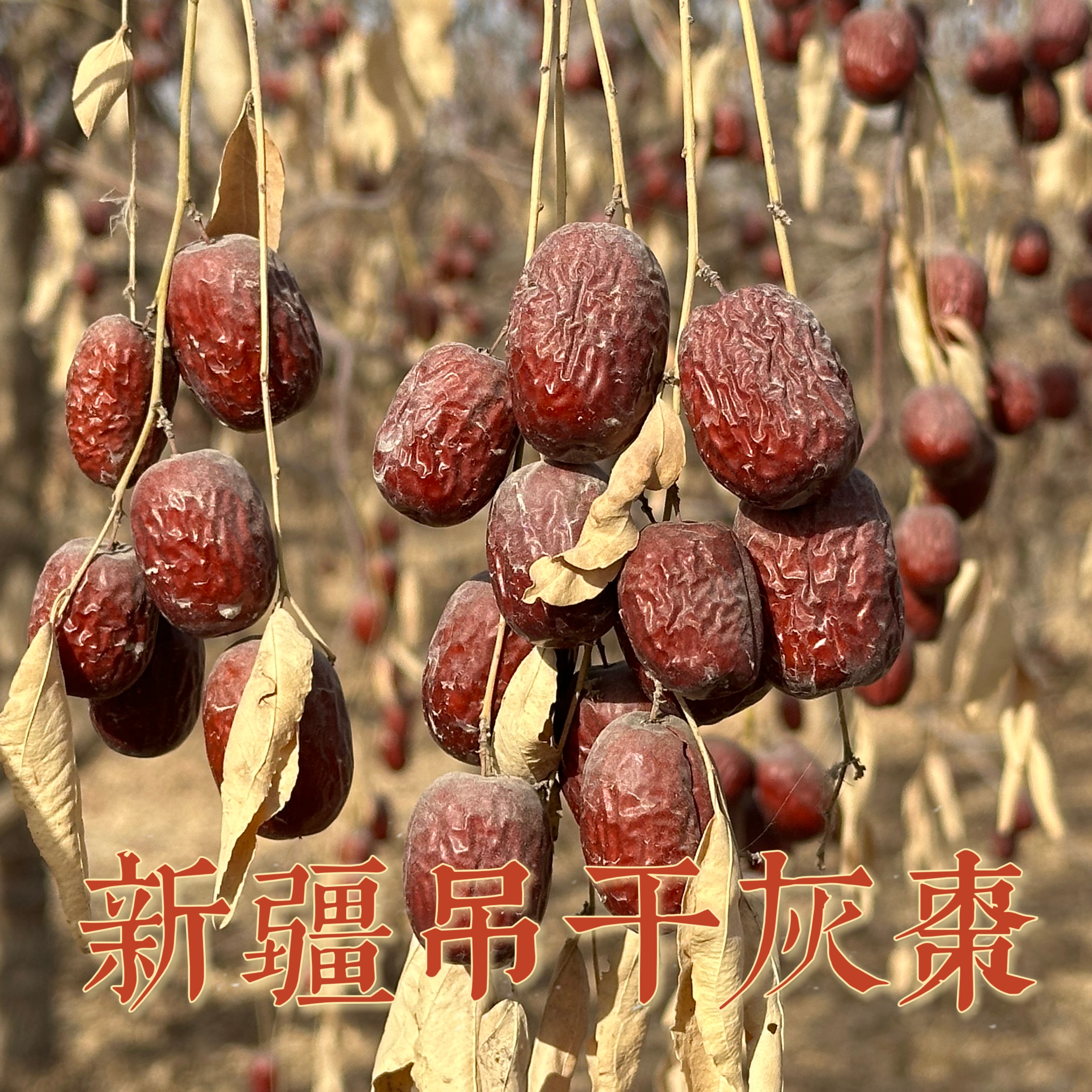 【未加工】(中大果)2025年新下树原生态新疆灰枣吊干灰枣，