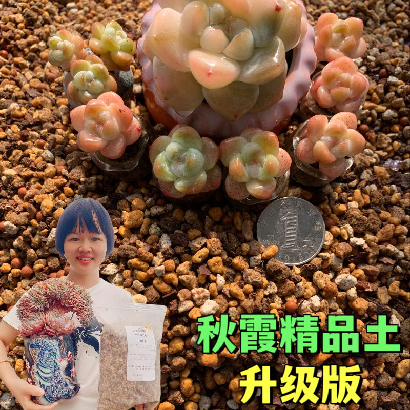 秋霞精品多肉土5斤进口软质占70％，品氏泥炭、蛭石、奥绿A2单独包装