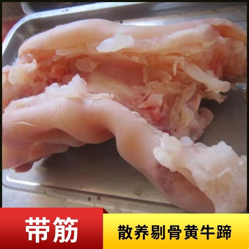 带筋牛蹄】农家牛蹄黄牛牛脚整只牛筋牛蹄筋去骨牛蹄子鲜美牛脚筋