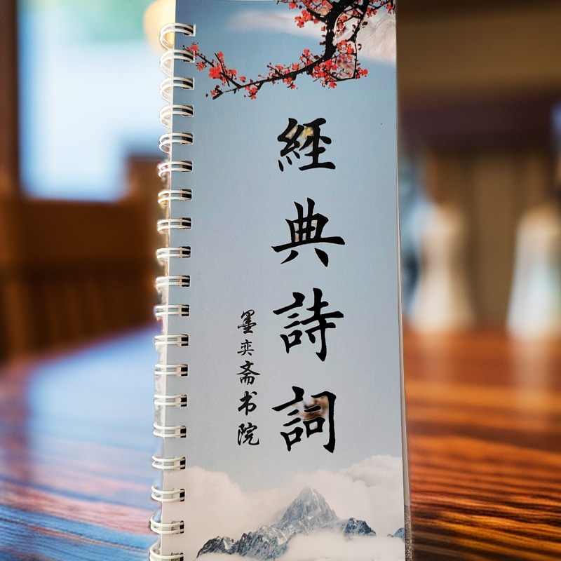 欧体字贴古诗集楷书正楷诗词书籍沁园春定风波陋室铭水调歌头毛笔
