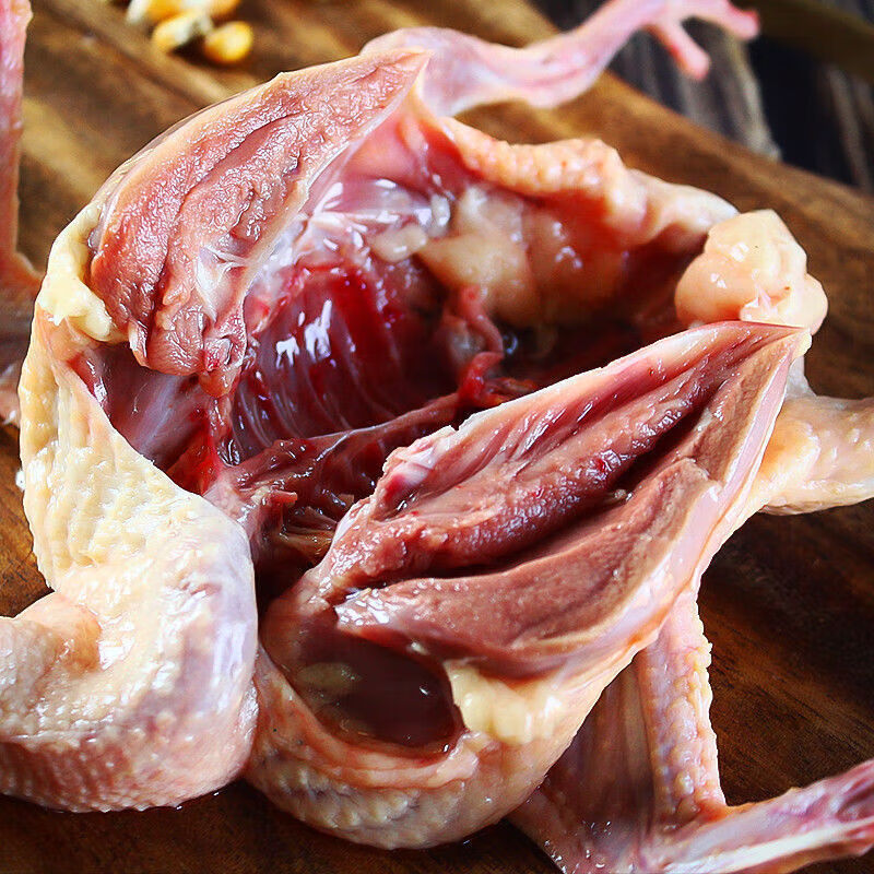 6只农家放养土鸽宰杀整只新鲜鸽子肉