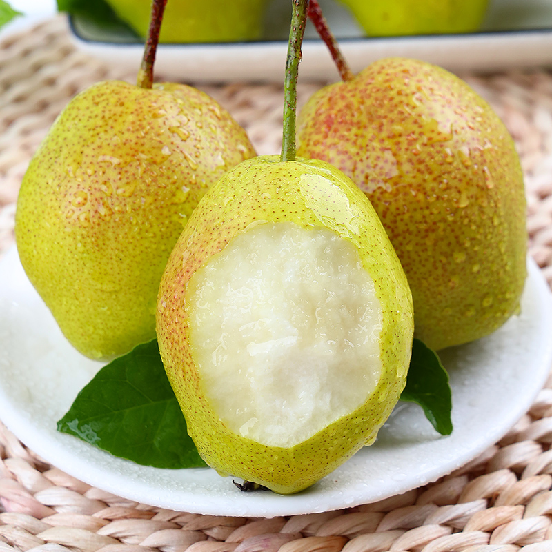 【自然搭档】陕西红香酥梨3斤/4.5斤装现摘新鲜水果梨子脆甜多汁