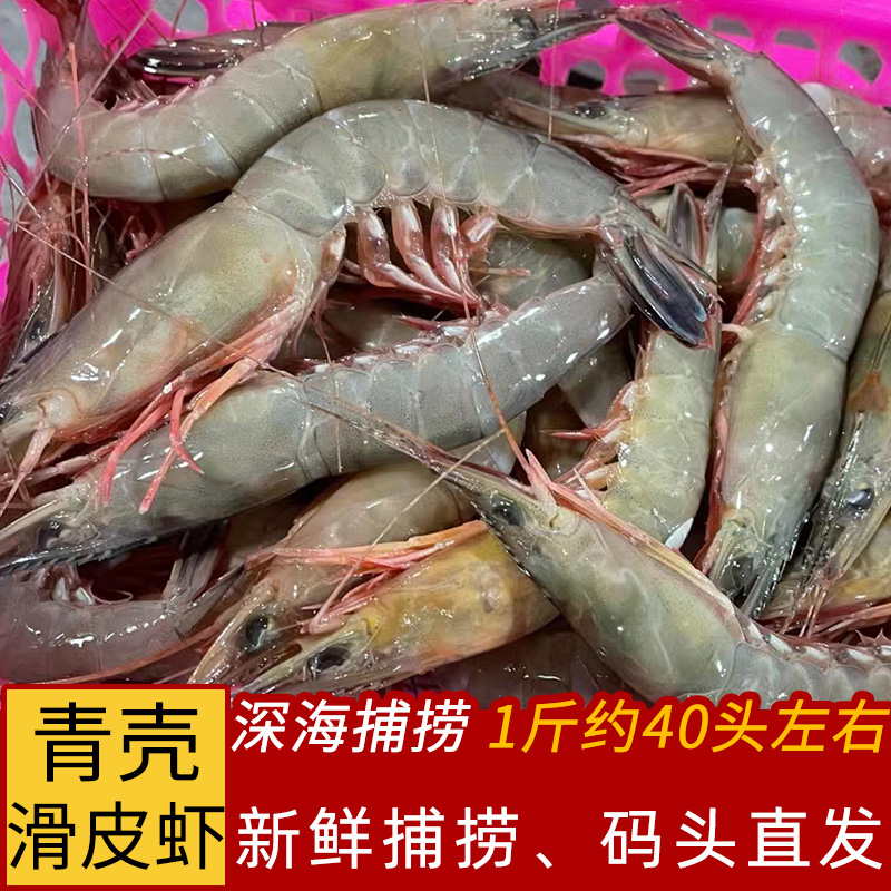 舟山青壳滑皮虾新鲜冷冻海捕活皮虾大条海虾海鲜特产一斤40头左右