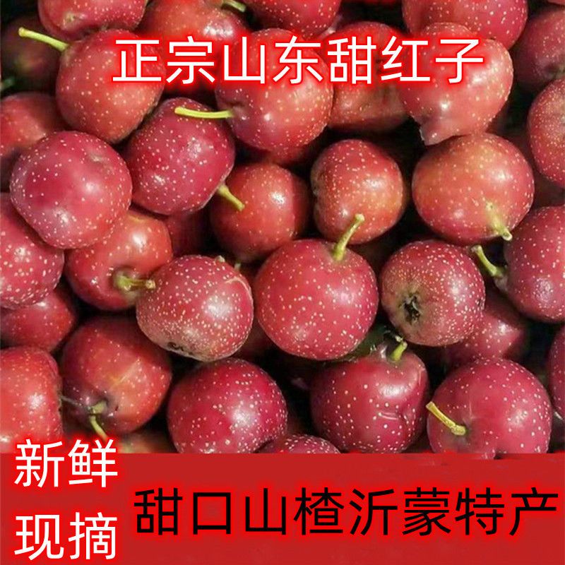 新鲜甜红子山楂小野山楂山楂球做糖雪球专用山楂果红果非歪把红