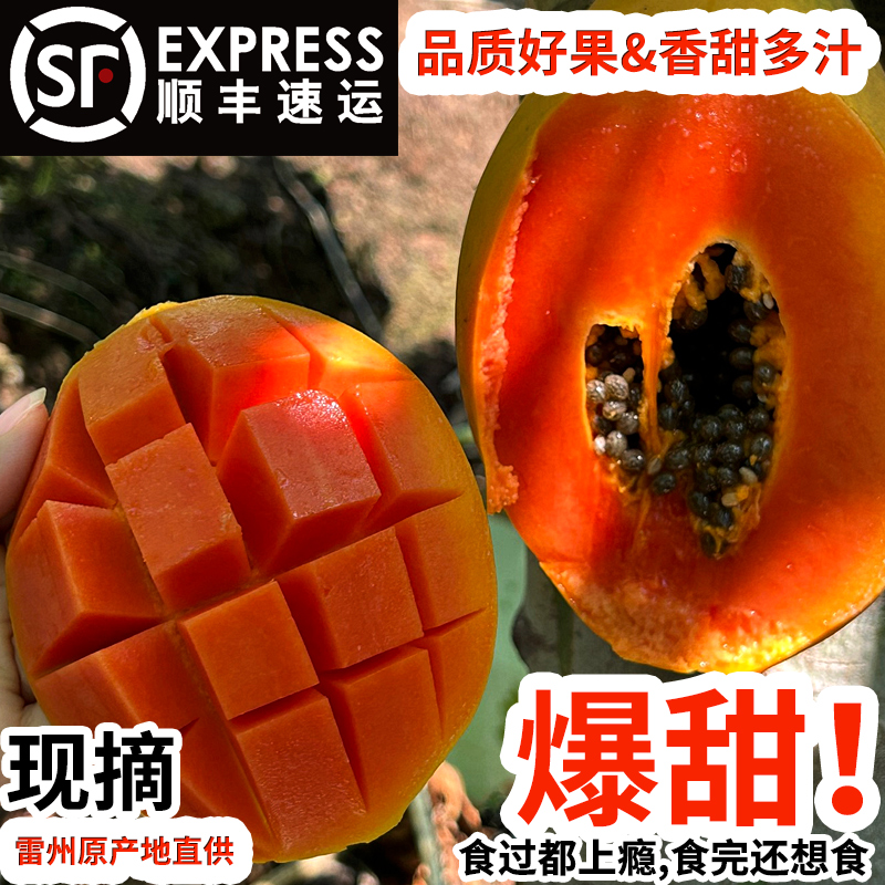 树上熟冰糖心牛奶木瓜雷州多汁红心木瓜细腻多汁丝滑软糯香甜顺丰