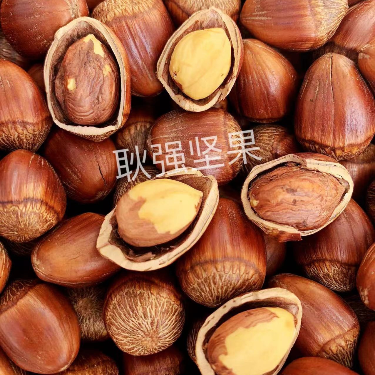 2025年新货 东北炒熟达维大果榛子，不开口送钳子