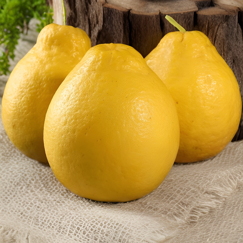 容县正宗沙田柚现摘广西老树新鲜香甜多汁孕妇水果产地直销礼盒装
