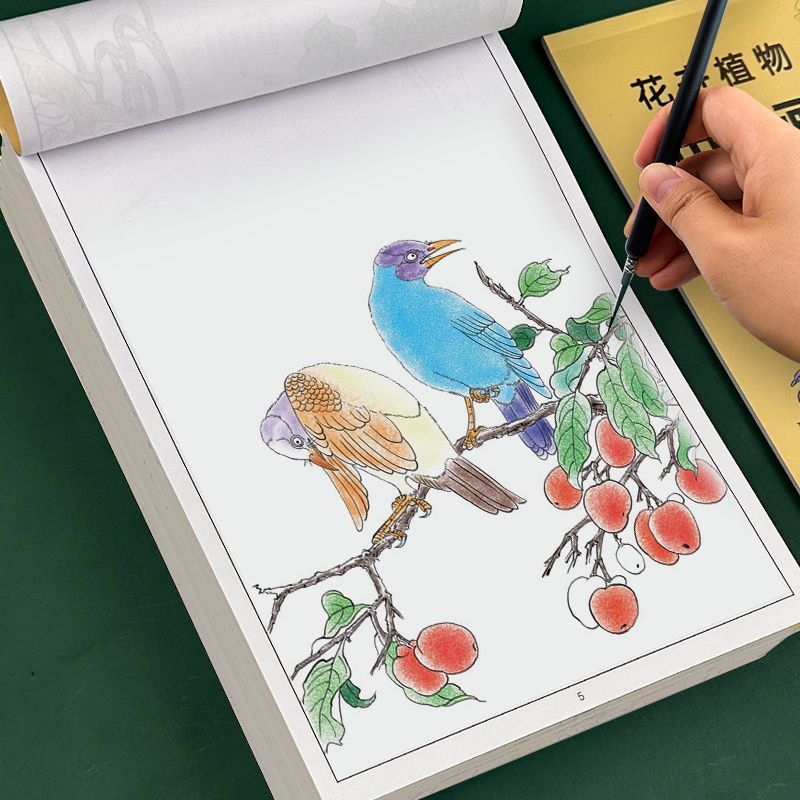 中国画白描描摹本初学者零基础白描底稿大图工笔画花鸟涂色绘画本