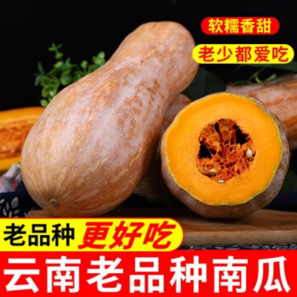 云南正宗老南瓜新鲜农家自种宝宝辅食甜南瓜板栗味包邮蔬菜批发