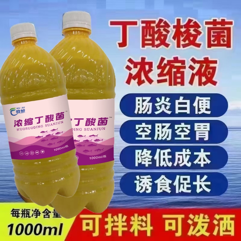 水产养殖丁酸梭菌专用纯菌种预防白便维护肠道空肠空胃稳定PH值