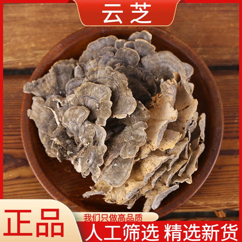 云芝 长白山野外生长灵芝正品优选黄云芝 整枝足干散装250g-500g