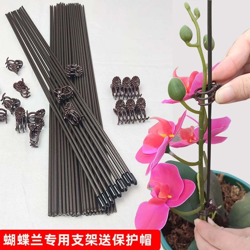 蝴蝶兰专用支架兰花卉固定夹子保护帽植物固定枝器包塑花架支撑杆