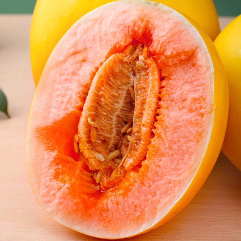 甄选正宗民勤蜜瓜金红宝沙漠甜瓜新鲜水果哈密瓜