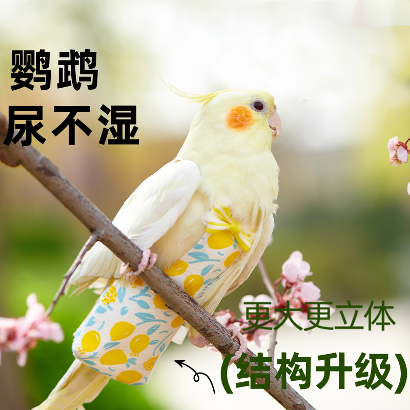 鹦鹉尿不湿鸟用屎兜衣服虎皮牡丹玄凤专用尿裤调节飞行服鹦鹉用品