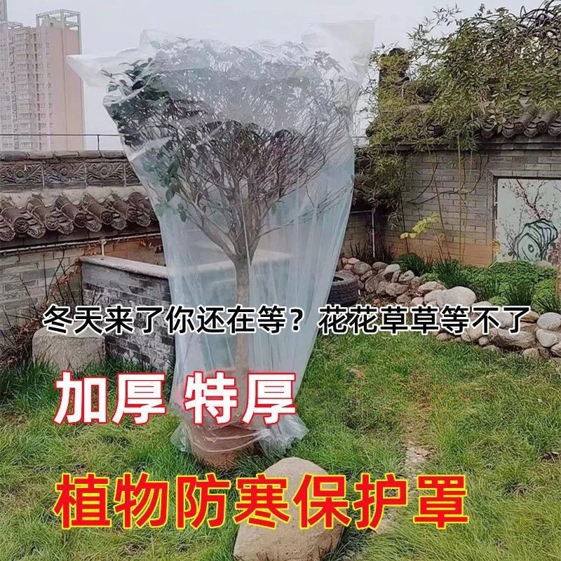 绿植物防冻保温袋塑料膜花卉盆栽过冬保护罩树木防寒布防尘袋透明