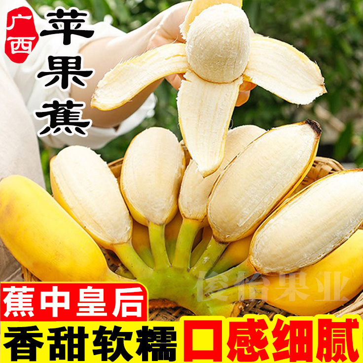 正宗苹果蕉农家新鲜当季水果banana香蕉西贡粉蕉芭蕉香焦2/5/9斤