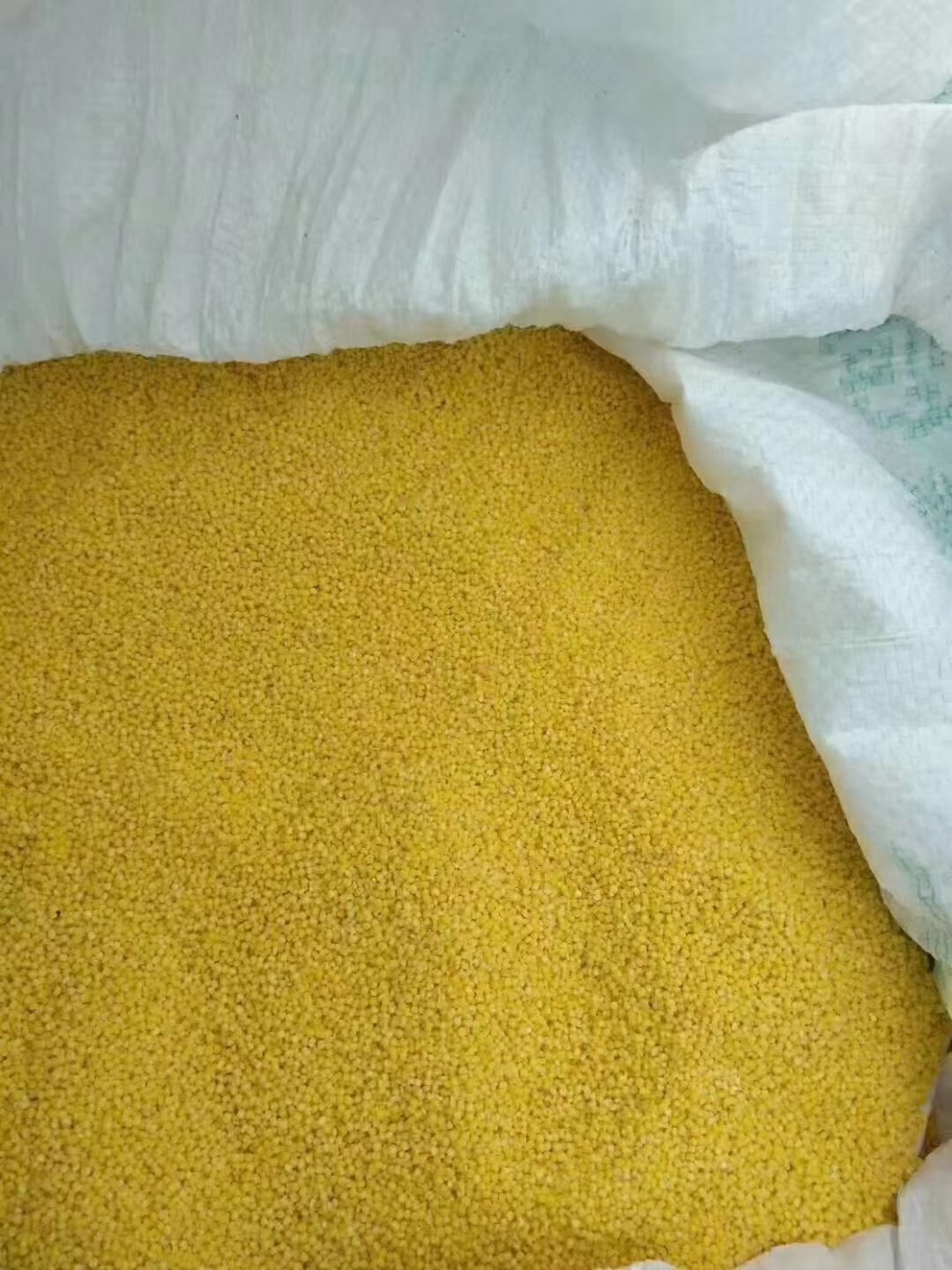 五莲新春小米月子米农家特产