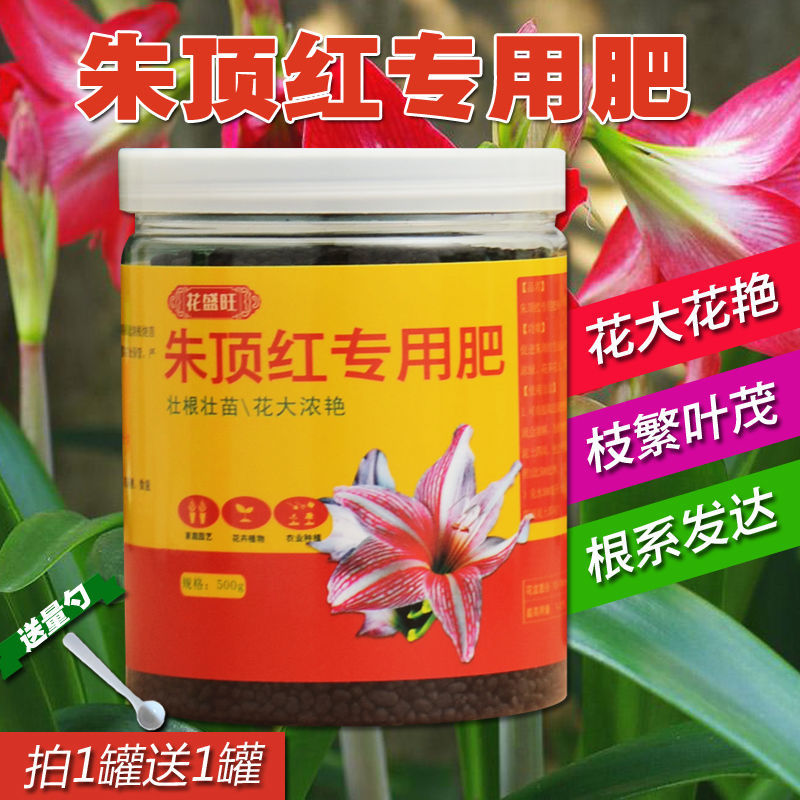 朱顶红肥料专用肥红花莲百枝莲华胄兰有机肥盆栽对红营养液促花苞