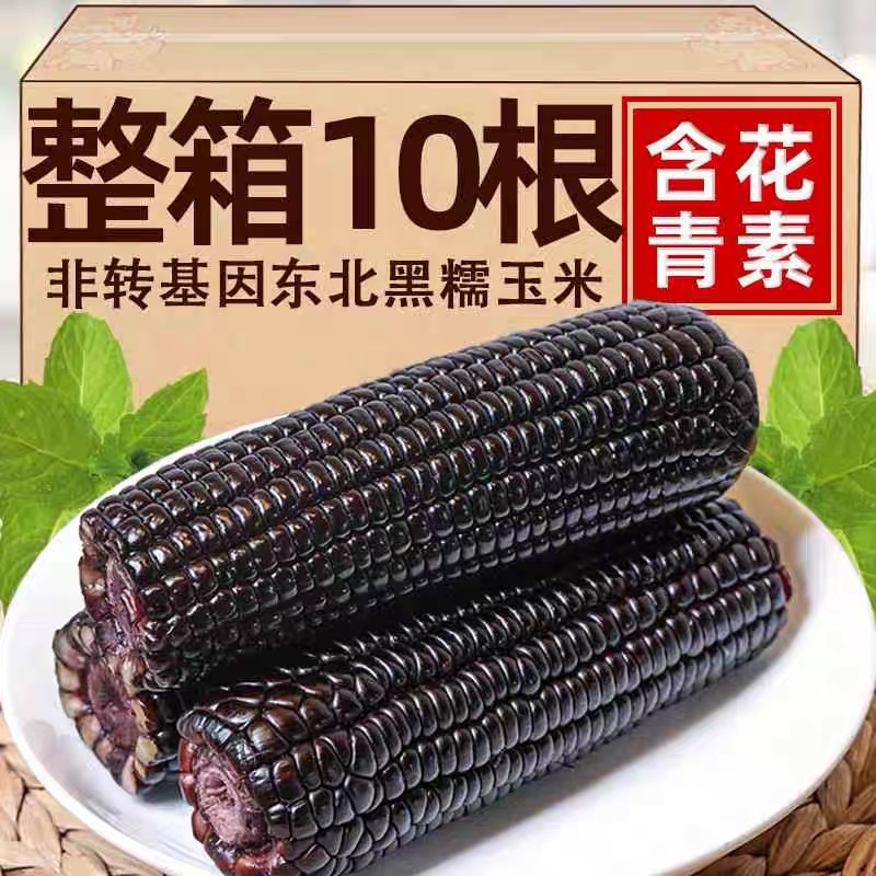 【整箱6斤】试吃2根原生态种植黑糯玉米10支*280-320g低脂香甜