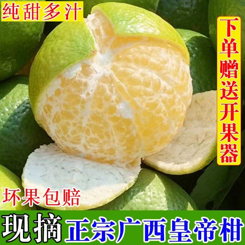 【精选优品】当季皇帝柑新鲜柑橘现货速发