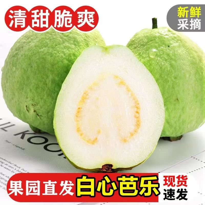 广西番石榴白心芭乐新鲜水果清甜脆口软糯香甜1/3/5/9斤代发包邮