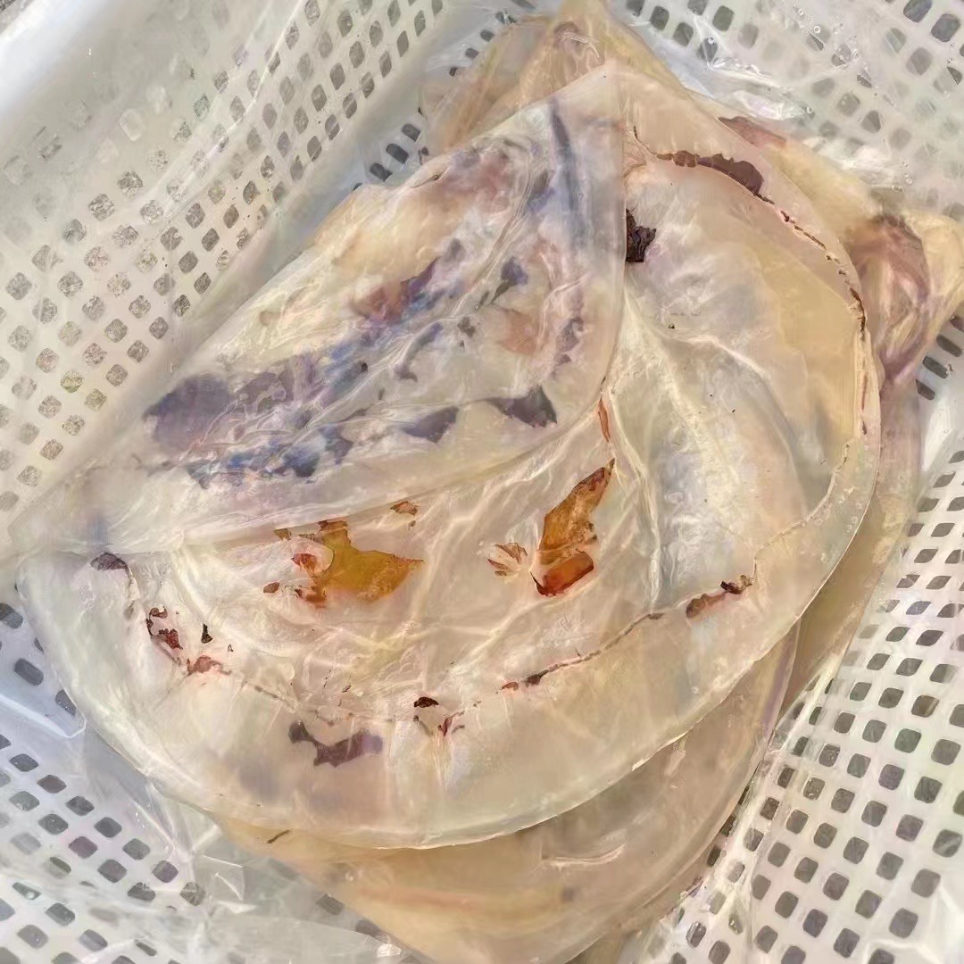 李狗剩海鲜 吕四野生海蜇（白干皮）