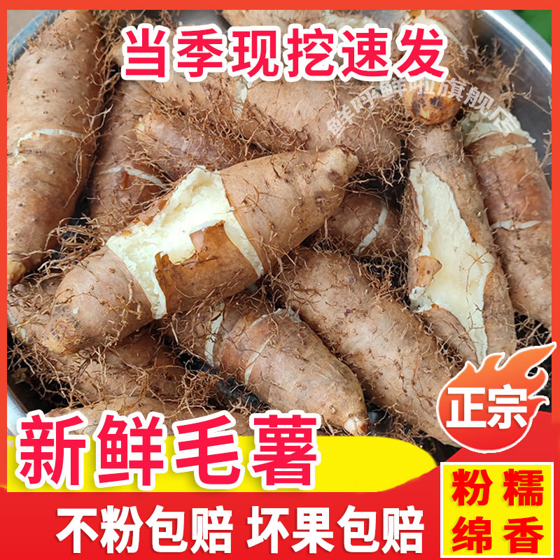 正宗新鲜毛薯白心湛江田薯粉糯甜茂名现挖甜薯淮山药脚板薯包邮