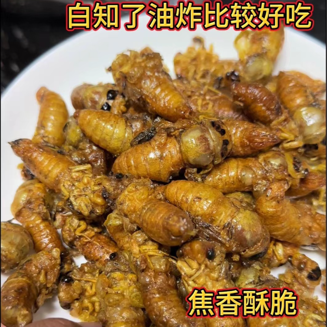 顺丰包邮2025白知了白蝉 银蝉自然蜕变冷冻发货适合油炸速冻好吃