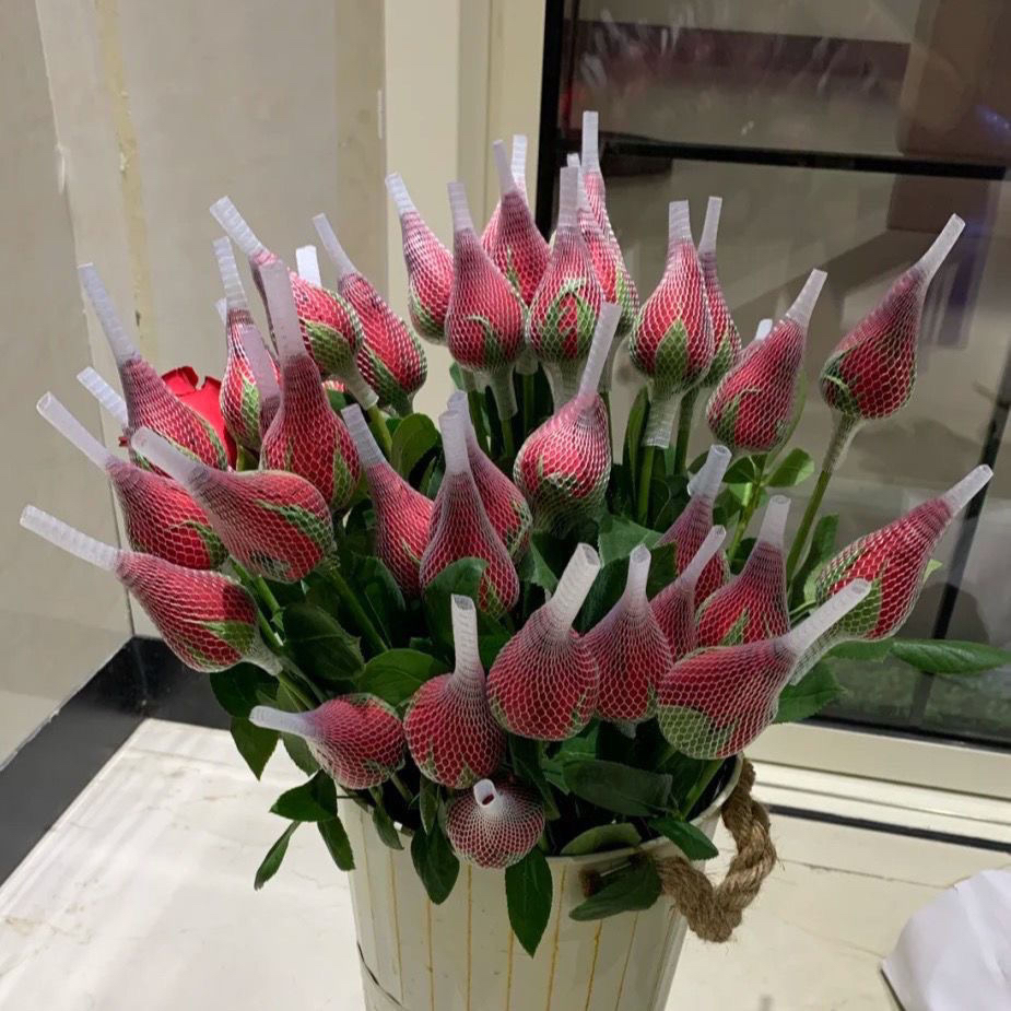 真花玫瑰花云南昆明基地鲜花直批发家用水养插花花束速递包邮