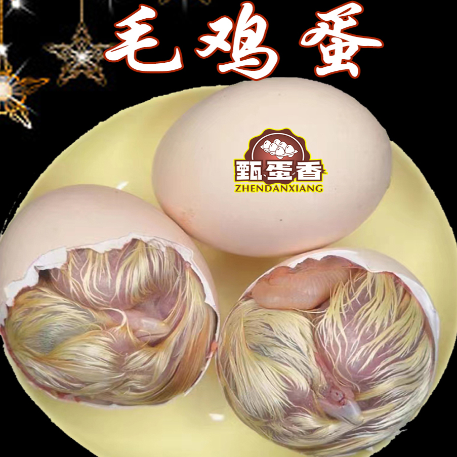 麻辣毛蛋带毛鸡佳品19到21天毛鸡蛋适合烧烤商用