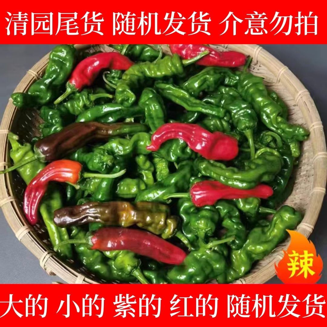 清园尾货特辣辣椒新鲜薄皮小皱皮青椒爆辣超辣农家土辣椒应季蔬菜
