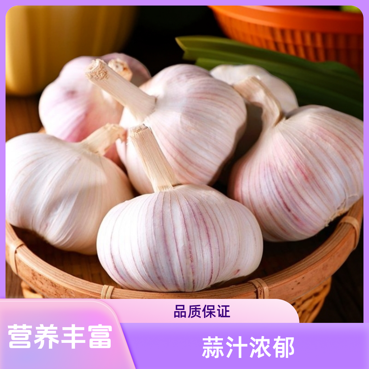 新干大蒜头紫白皮大蒜头干蒜蒜汁浓郁1-5斤金乡大蒜