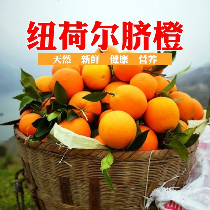 巫山恋橙重庆巫山纽荷尔脐橙新鲜水果大果手剥薄皮当季整箱5斤包