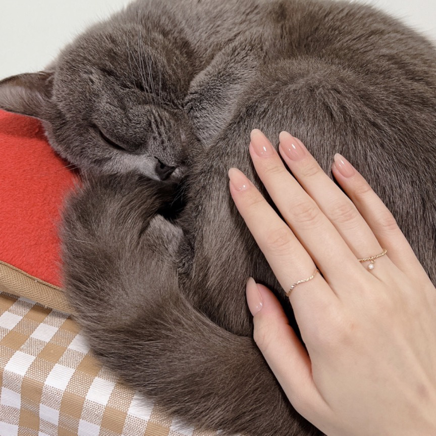 短嬛嬛美甲】手工短款穿戴甲显白甘露寺高级裸透裸粉气质华妃美甲