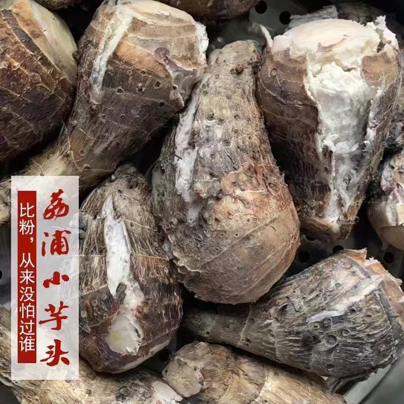 广西小芋头仔正宗小香芋新鲜芋头槟榔芋粉糯现挖现发