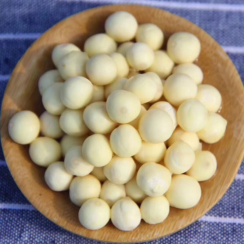 新鲜芡实苏州鸡头米潮汕特产家用甜品