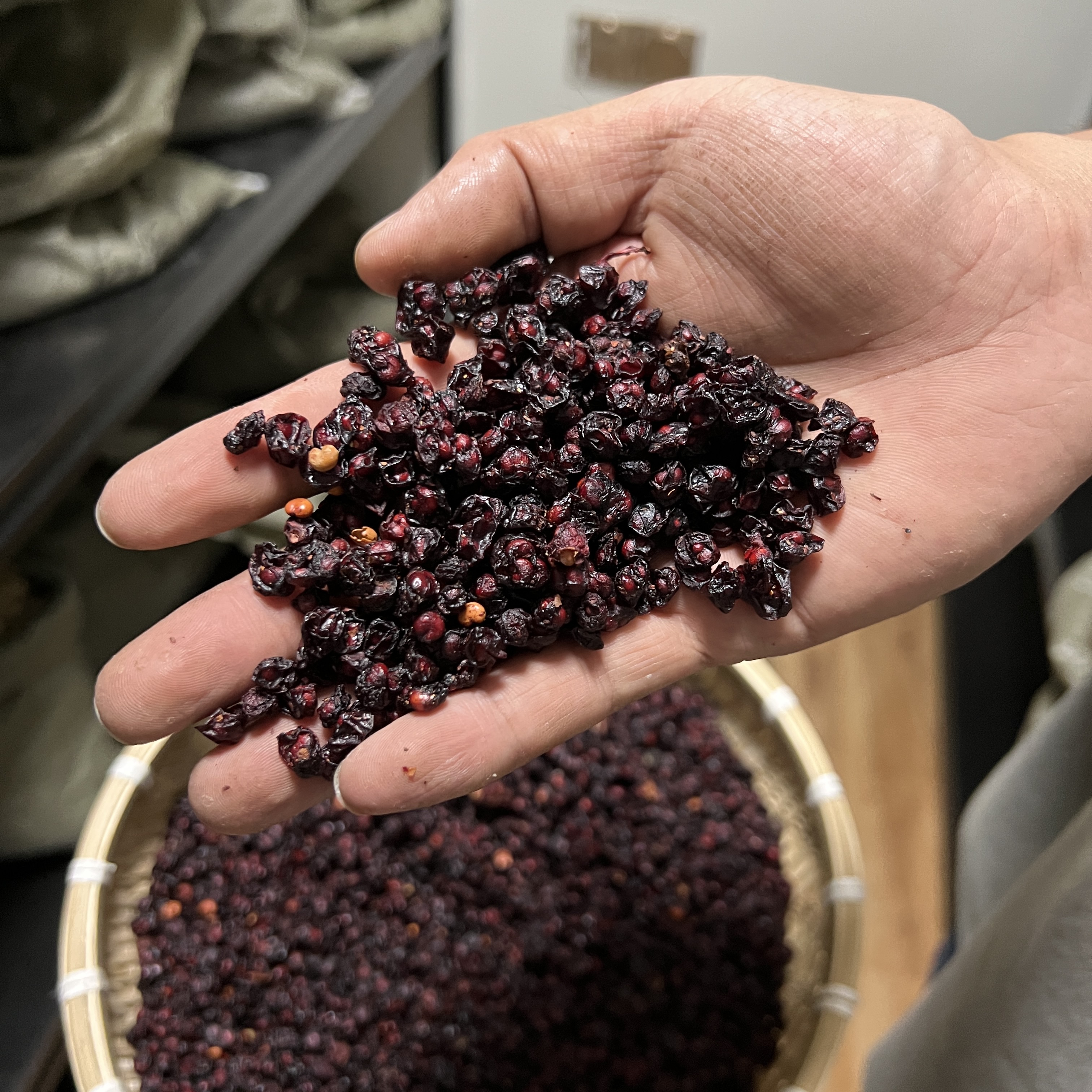 【本草李博士】无硫精选辽宁五味子道地五味子正宗辽五味搭配枸杞