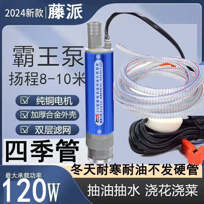 电动抽油泵12V24V加油神器柴油油抽子吸油泵油枪小型加油机抽水泵
