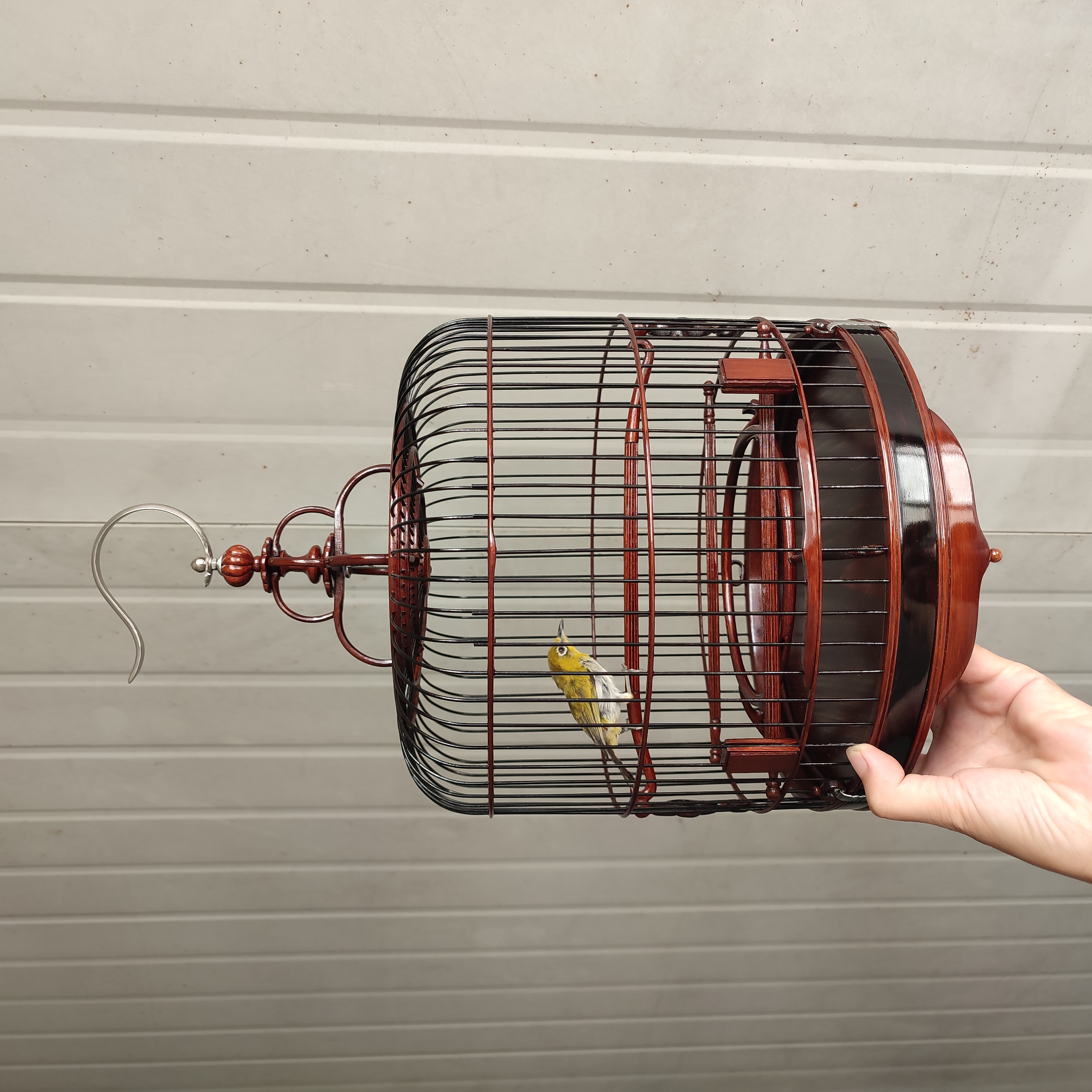 60枝加密直径24绣眼柳莺鹪鹩太阳鸟黄豆黑枝生漆矮装虾笼广笼包邮