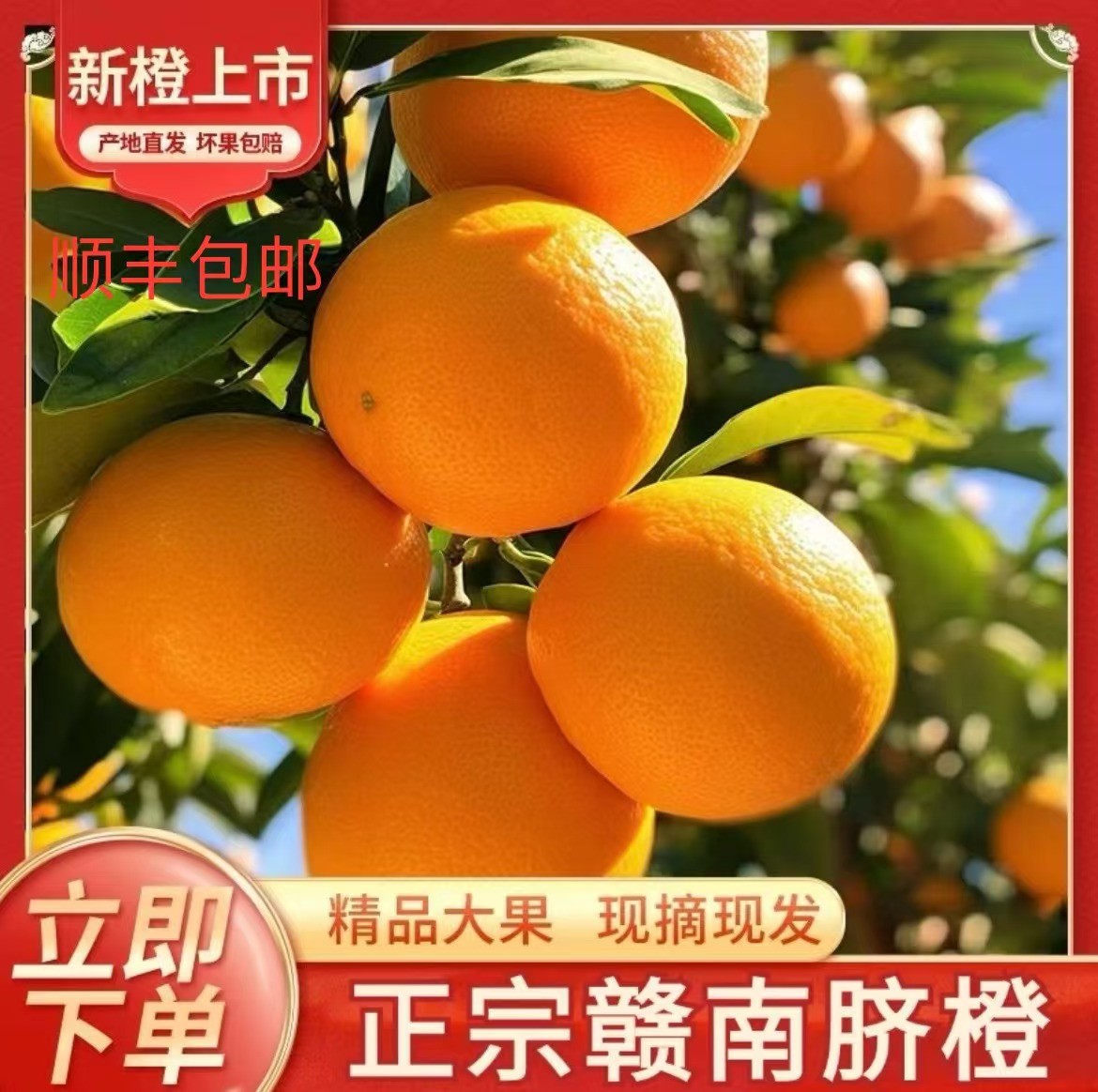 （顺丰包邮）20斤装正宗赣南脐橙赣州信丰脐橙果园直发