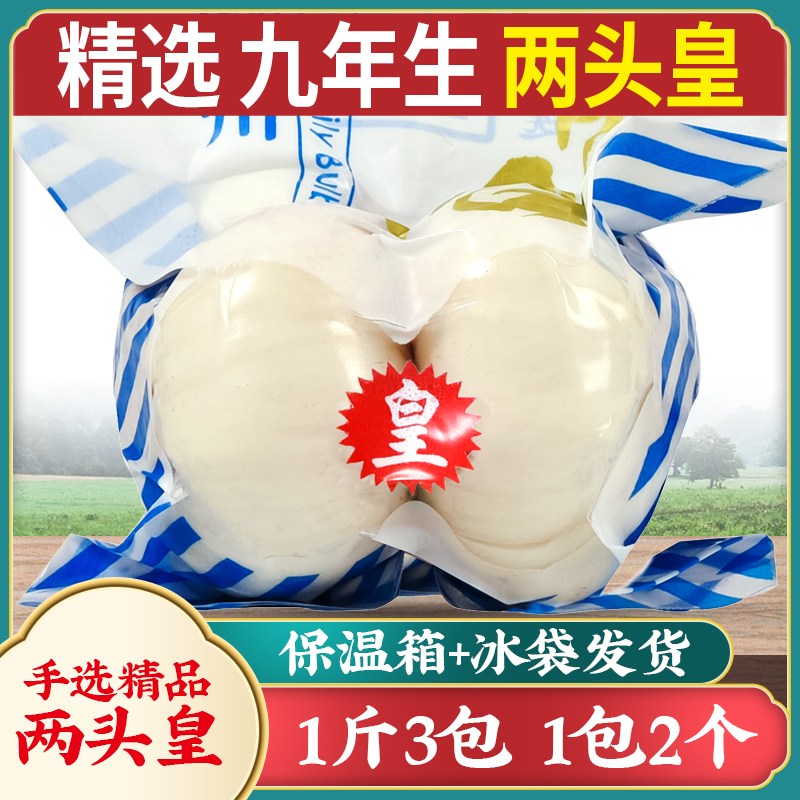 【九年生】兰州百合500g两头皇新鲜食用甜百合新挖百合干农家