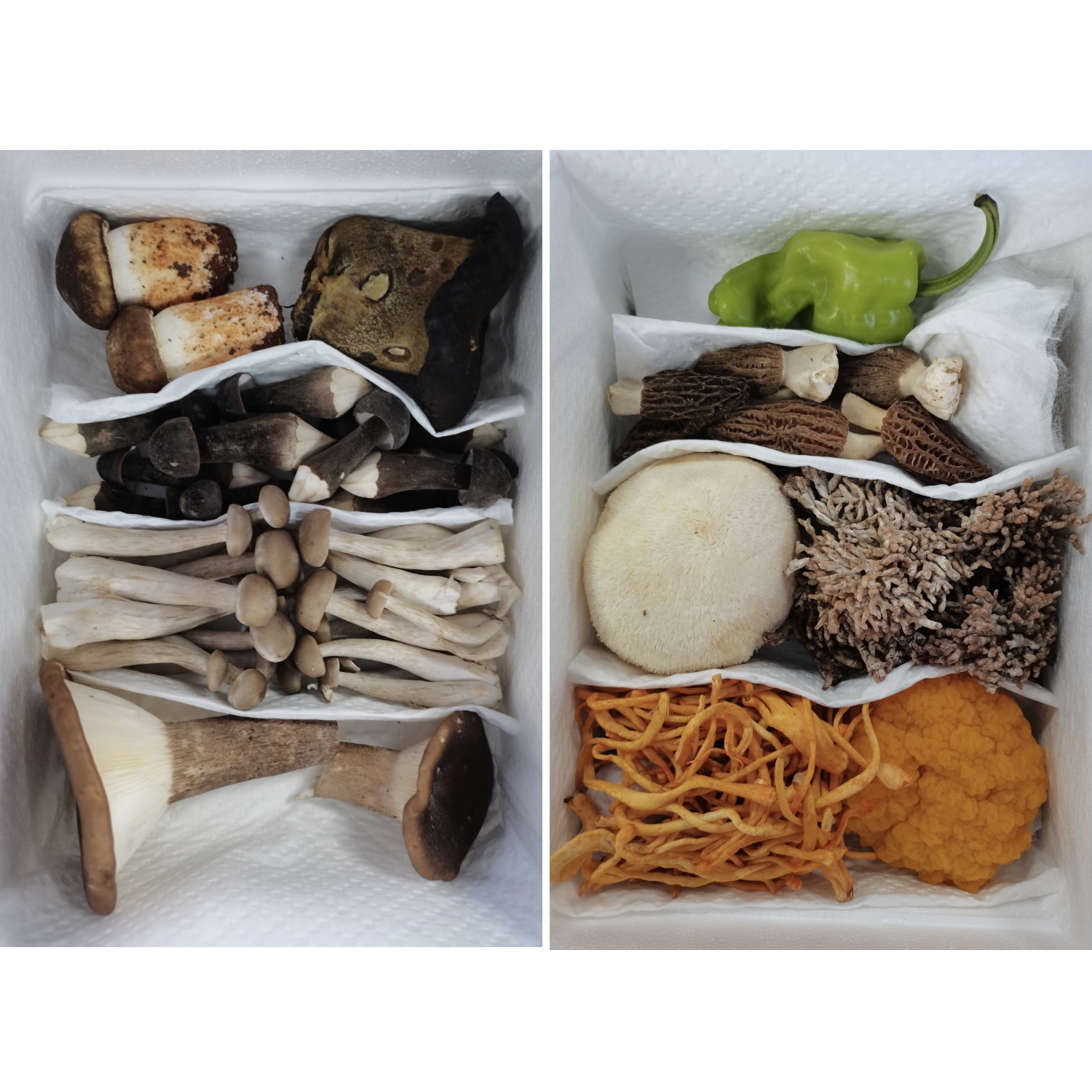 云南六鲜菌组合菌礼盒羊肚菌金耳姬松茸火锅汤包