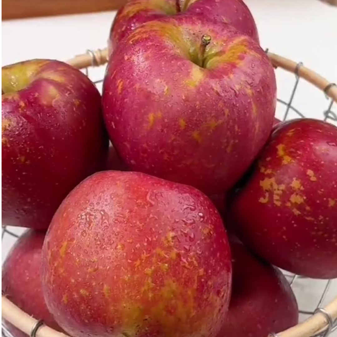 云南昭通正宗冰糖心脆甜丑苹果红富士当季糖心苹果当季水果新鲜
