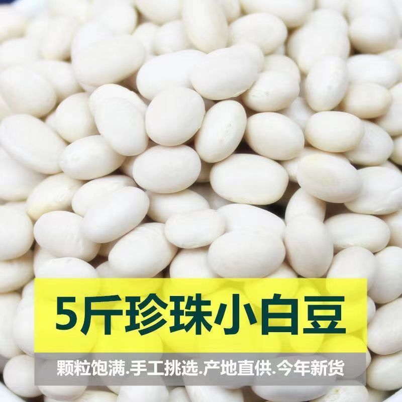 【发二斤】农家自种小白芸豆小白豆煲汤打豆浆
